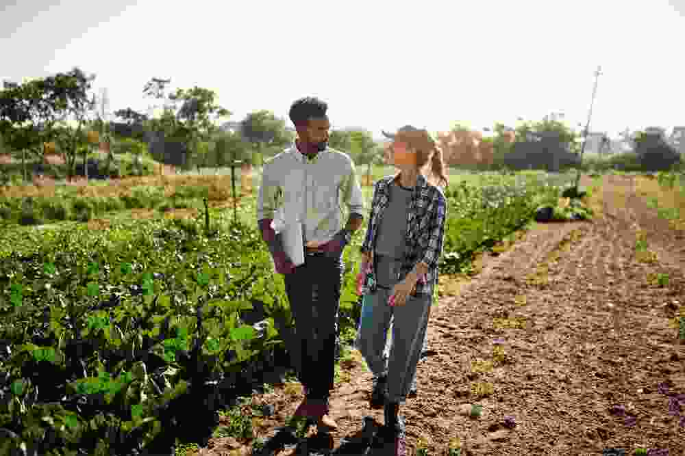 gaupanchamrut.kpwebinfotech.in